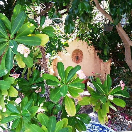 B&B Le Terrazze Capo d'Orlando Luaran gambar