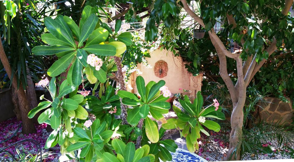 B&B Le Terrazze Capo d'Orlando Luaran gambar